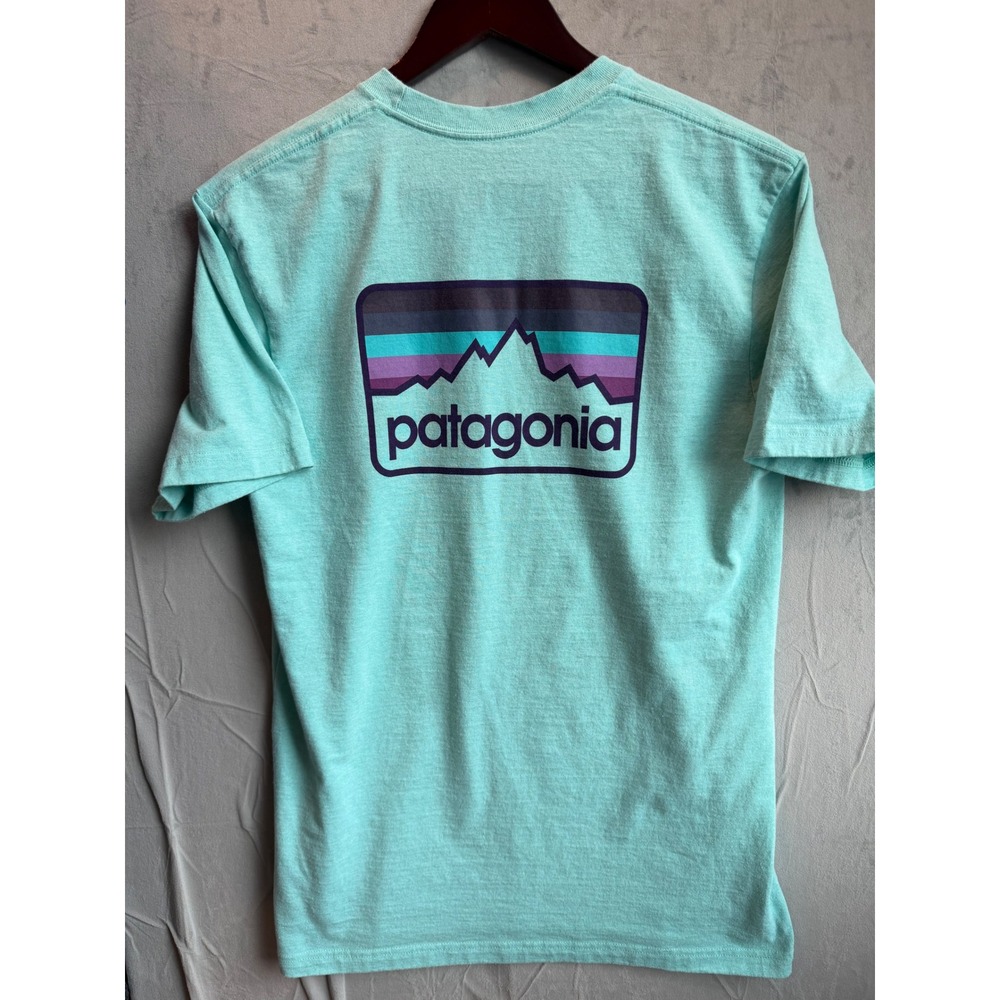 Patagonia Responsibili-Tee Mens M Teal Gorpcore Outdoor Graphic T-Shirt - Picture 1 of 6